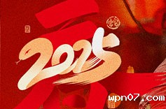 wpn07机电春节放假通知